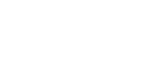 Proton e.MAS